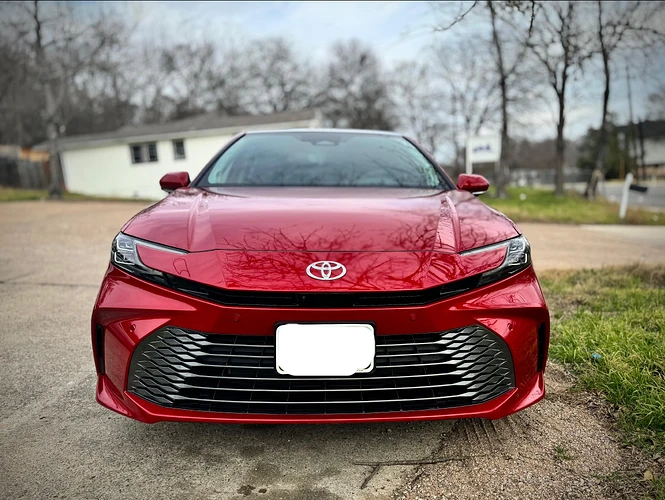 camry love